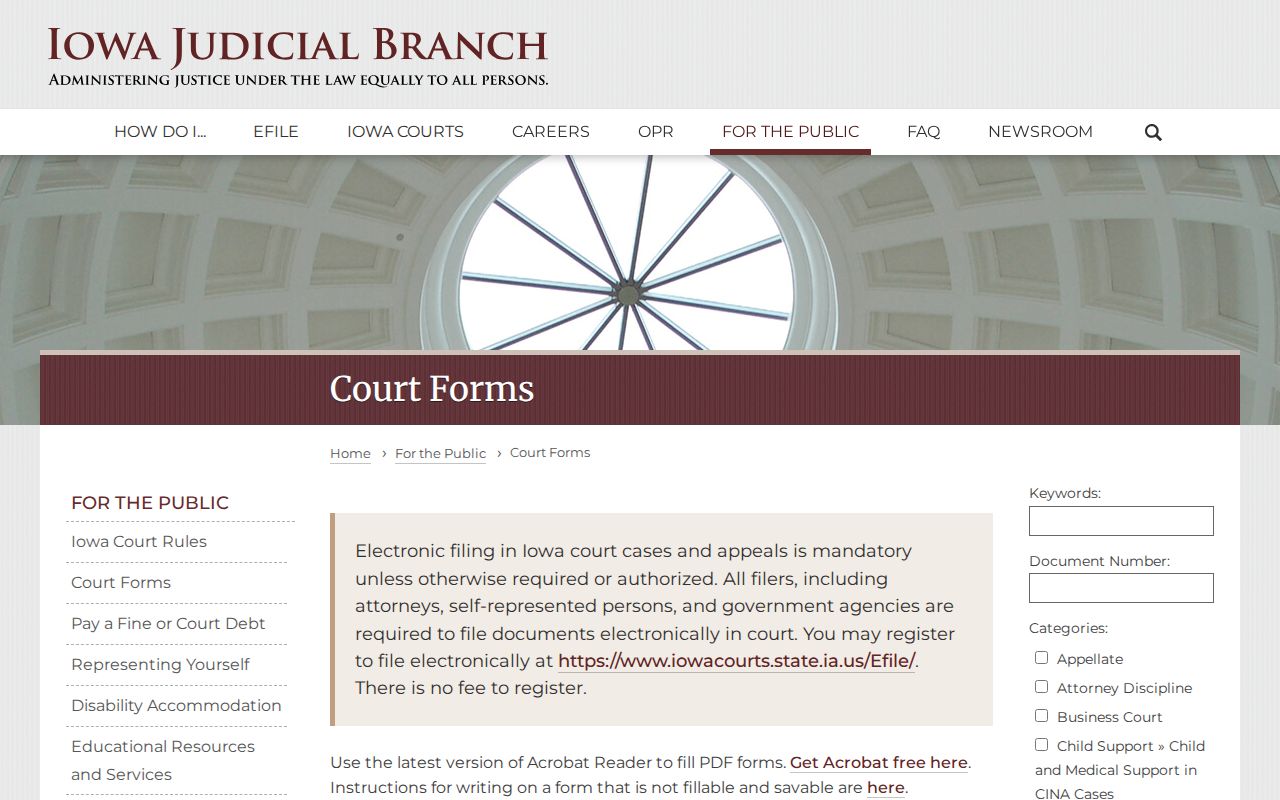 Iowa court forms used with Boone County criminal court cases